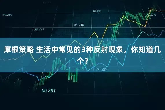 摩根策略 生活中常见的3种反射现象，你知道几个？